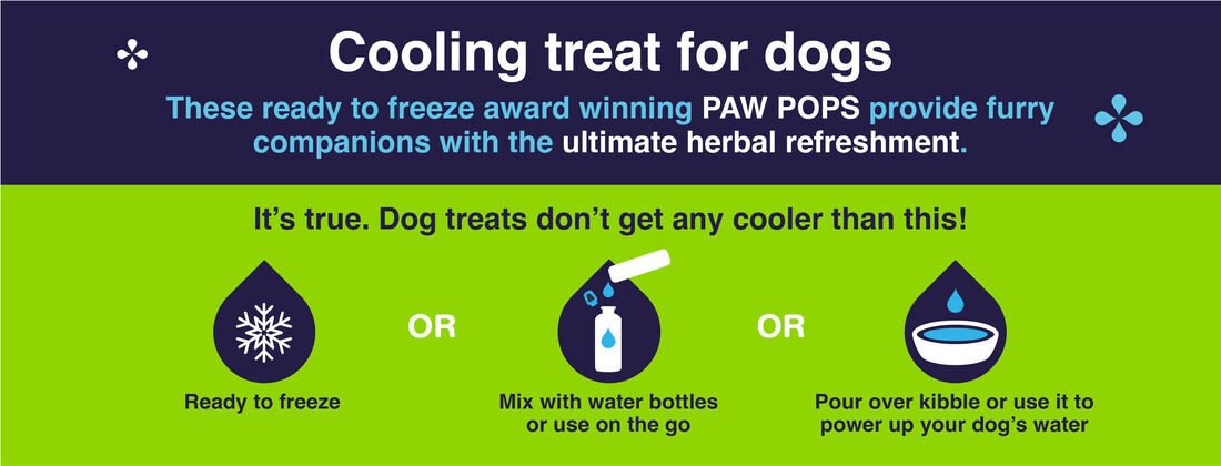 Cooling Treat for Dogs - Paw Pops by Woof & Brew